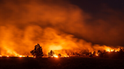 Fototapeta na wymiar California wildfire burns in forest