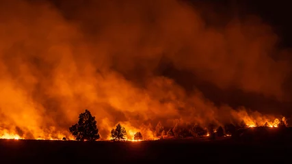 Fotobehang Diep Rood Oregon wildfire burns in forest  © Brian Gailey