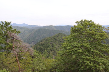Fototapeta premium 宇連山から見る綺麗な景色