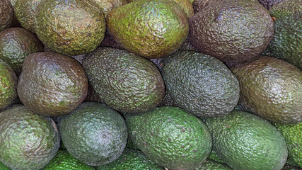 Organic avocado Close-up as background Texture in wallpaper Harvest