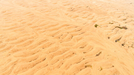 yellow sand by the sea as background