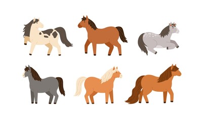 Set of different cute little horses. Collection of adorable childish pony. Flat vector cartoon illustration of beautiful domestic farm animals isolated on white background