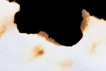 paper with burnt edges as background