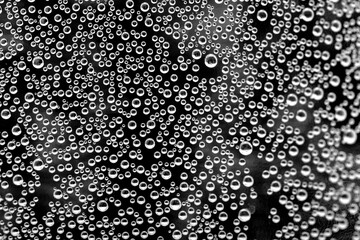 abstract black and white background with water bubbles