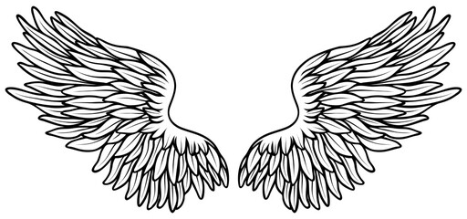 Beautiful white angel wings, hand drawn 