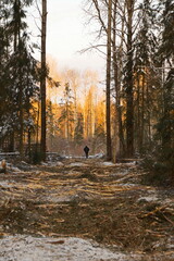 Fototapety na wymiar - Fototapeta24.pl