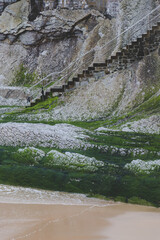 the river in the wild