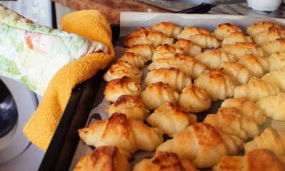 The woman takes out the finished cookies from the oven. Close-up of a baking sheet with ready-made...