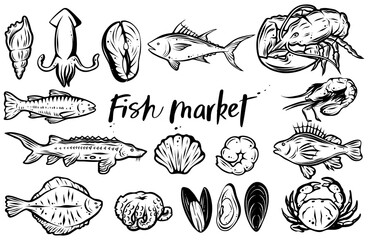 Set of various seafood, hand drawn vector