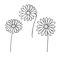 Easter set, vector illustration, daisies, hand drawing
