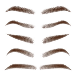 Classic type and different eyebrow thickness. Various types of eyebrows. Brown eyebrow bag. Brown eyebrows isolated on white background. Vector illustration