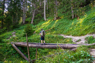 Traveller hiking in the woods wearing backpack and camera tripod