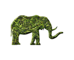elephant symbol Grass green Logo icon illustration
