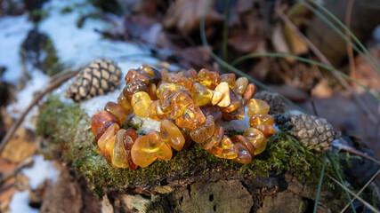 Sparkling old Baltic amber bracelets on the mossy stump covered with snow  in the forest. 