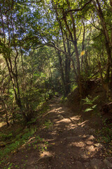 Obraz premium Views of Anaga Natural Park in the north of Tenerife