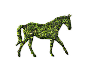  Horse animal symbol Grass green Logo icon illustration