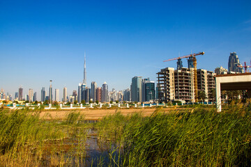 Dubai city skyline. Shot made from safa park. UAE. Outdoors