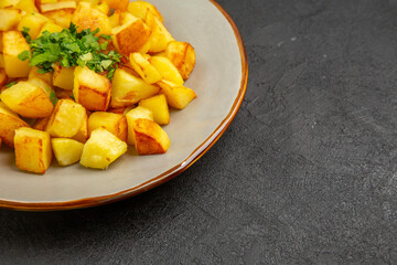 front view delicious fried potatoes inside plate on dark background french fries food photo color dinner