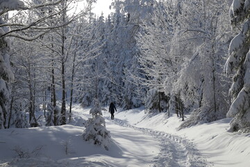 Winterwanderung