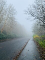Fototapeta na wymiar road in the fog