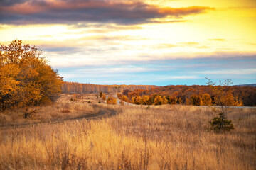 Obraz premium Autumn Concept, Natural Background, Dramatic Sky, Orange Yellow Dawn, Road in the Field, Forest with Golden Leaves, Sunrise over the Horizon, Travel through the Saratov region