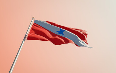 Para Brazil State Flag