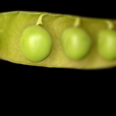 peas in pod macro shot
