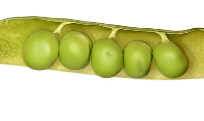 Peas in pod macro shot