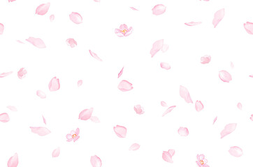春の花 さくらと散る花びらのアーチ型フレーム 水彩イラスト Wall Mural Keiko Takamatsu