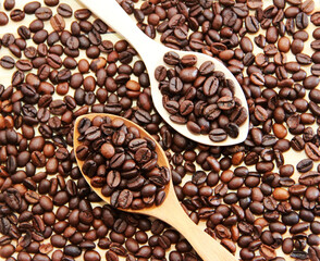 natural black coffee beans in a wooden spoon