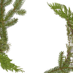 Fototapeta na wymiar Christmas background with live fir branches. holiday banner or postcard.