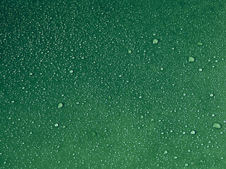 Water drops on green background.