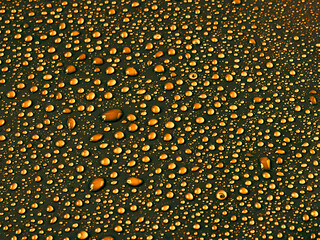 Water drops on gold background.