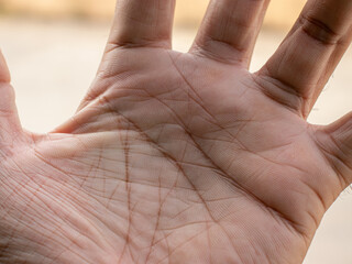 Handwriting tells of life, Macro close-up of a man's left hand palm.