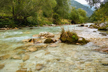 Fast mountain river with clear cold water.
