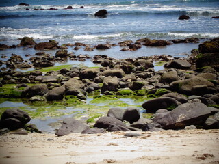 rocks on the beach