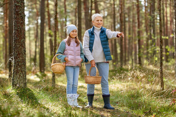 season, leisure and people concept - grandmother and granddaughter with baskets picking mushrooms in forest
