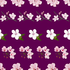 Sakura flowers on purple background repeat pattern