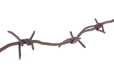 Old rusty metal barbed wire isolated on a white background. Barbed wire macro.