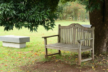 秋の公園にある木製のベンチ