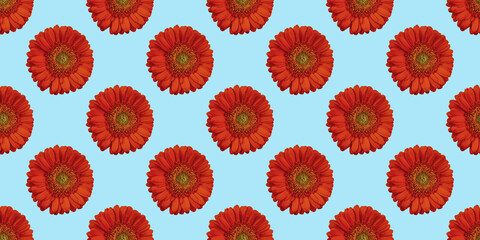 beautiful background with flowers seamless pattern with red gerbera