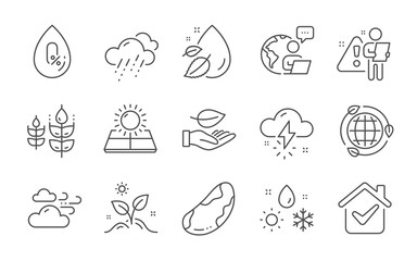 Weather, Grow plant and No alcohol line icons set. Rainy weather, Water drop and Leaf signs. Brazil nut, Gluten free and Sun energy symbols. Eco energy. Climate, Leaves. Nature set. Vector