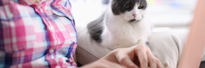 Woman works on laptop next to a cat. Remote work in the coronavirus pandemic concept
