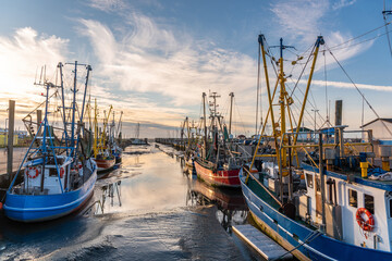 Shrimp boats in the old fishing port of Dorum