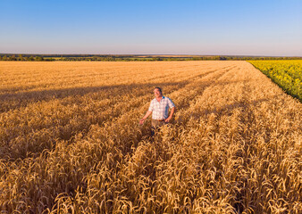 Aerial view of a farmer standing in a ripe wheat crop field.