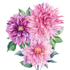 Fotobehang Dahlia Boeket bloemen dahlia, aquarel botanische illustratie