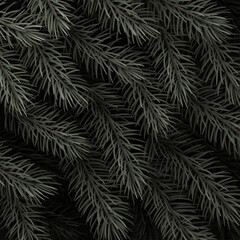 Dark green spruce branches background.