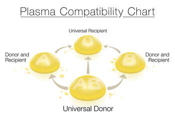 Plasma compatibility chart with universal donor AB and universal recipient 0 - concerning blood and plasma donation and transfusion, depicted with arrows and labeled 3d plasma drops.
