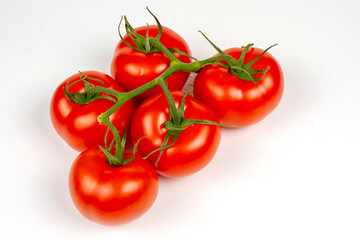 large red tomatoes on a branch close-up