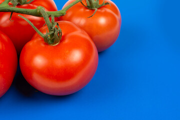 large red tomatoes on a branch close-up